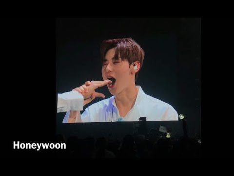 180713 Wanna One eats chilli crab in Singapore - Minhyun woojin sungwoon guanlin: Damn nice!