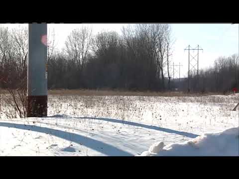 Pizza Ranch final site plan up for review