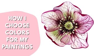 How I choose Colors and Shades for my Paintings: Watercolour Hellebore Flower Painting