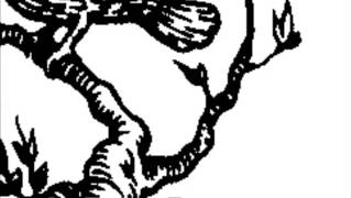 Sørensen &amp; Enge: &quot;Rook&quot; (XTC cover)