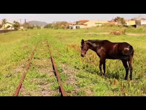Trailer | Descobrir: Os Criadores de Saci