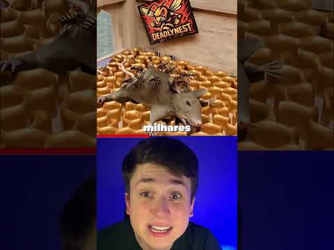 ABELHAS FAZEM MÚMIAS #curiosidades #interessante #shorts #short