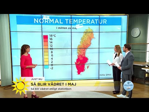 Kämpa maj - då kommer värmen - Nyhetsmorgon (TV4)