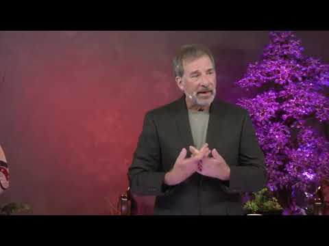 10-3 Adamus - ON COMPASSION, THE JOY OF BEING - Wings Series 3, November 2017