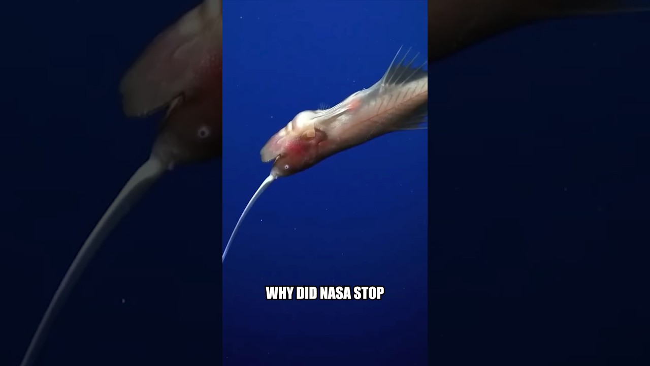 Why NASA Stopped Exploring the Deep Ocean