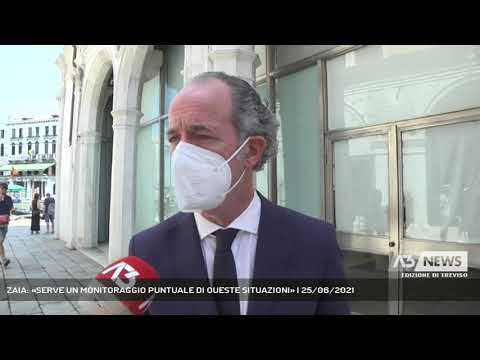ZAIA: «SERVE UN MONITORAGGIO PUNTUALE DI QUESTE SITUAZIONI» | 25/06/2021