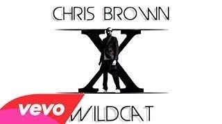 Chris Brown - Wildcat (Audio)