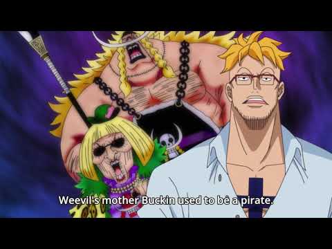 Marco Talks About Whitebeard Son Edward Weevil | One Piece Episode 890