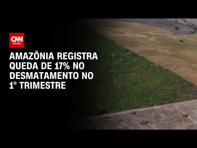 Amazônia registra queda de 17% no desmatamento no 1° trimestre de 2026  | CNN PRIME TIME