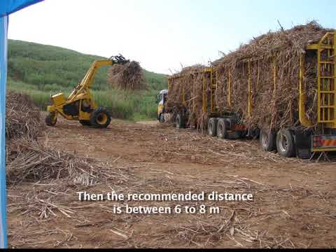 Sugarcane Loading Guidelines