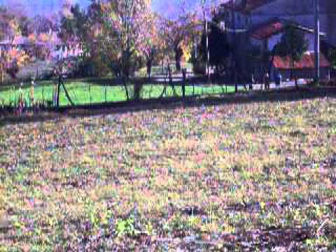 2° Ronde del Palladio 2011 Valter Gentilini