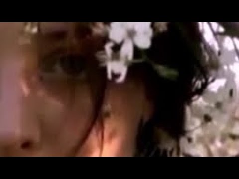 Collage - Living In The Moonlight - (Poland)  Życie w świetle księżyca...