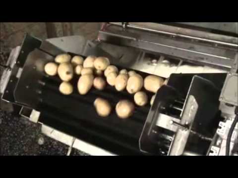 Kartoffelwaschmaschine/Gemüsewaschmaschine - Mix Fördertechnik.wmv
