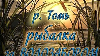 Рыбалка на томи в юрге летом