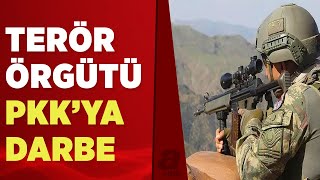 Bitlis'te 2 PKK'lı terörist etkisiz hale getirildi! Teröristlerden bir