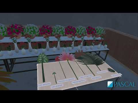 Florysta VR — wiązanka pogrzebowa