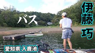 メジ