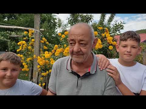 Surprize la domiciliu Bacău (188) Bijghir-Buhoci tel.0753744187