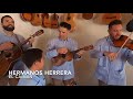 Hermanos Herrera || El Caimán