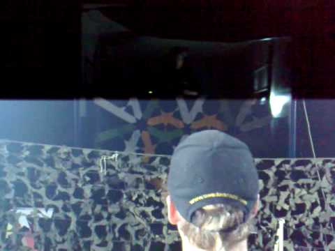 Dissolvement - Illegal Duracell party