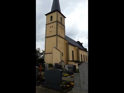 Plenum der Sankt Matthäuskirche in Rittershausen. Ldkr. Würzburg.