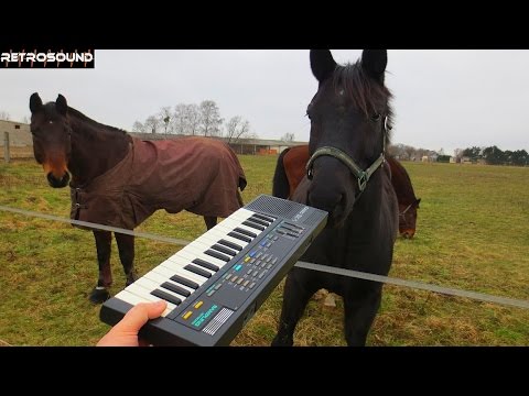 CASIO SK-1 - sampling works with Mister ED and friends