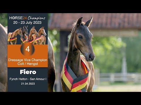 Lot 4 Fiero Hengst v. Fynch Hatton - San Amour I