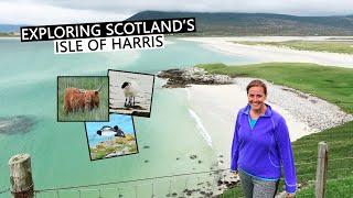 Isle of Harris Beaches, Sam's Seafood Shack + Scottish Coastal Walks