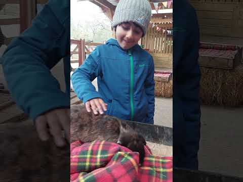 Kanav at Buckleberry farm