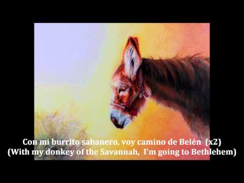 Mi Burrito Sabanero (Spanish lyrics w/ English translation)