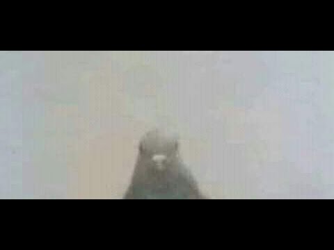 among us sus in minecraft!!! (not click bait)