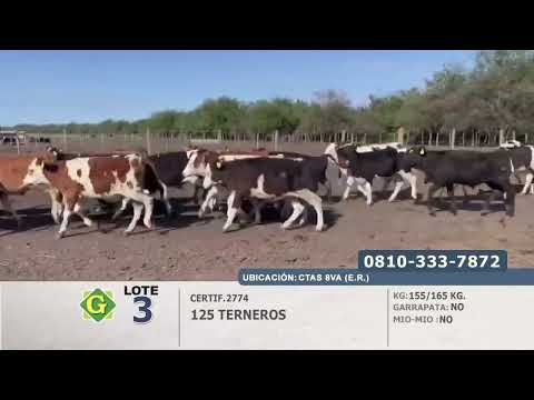 Lote Terneros en Crucecitas 8va (E.Rios)
