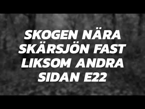 SKOGEN nära SKÄRSJÖN fast liksom på andra sidan mot HULTALEDEN - 201027 - Ronneby - Blekinge