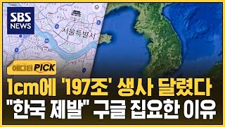 1cm에 '197조' 생사 달렸다…"한국 제발" 구글 집요한 이유 (에디터픽) / SBS