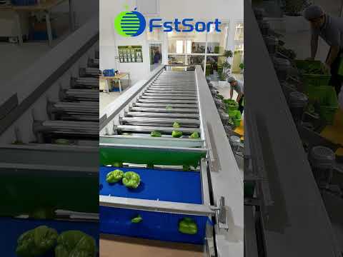 Bell pepper sorting grading machine,vegetable sorting line,capsicum sorter, clasificadora pimientos