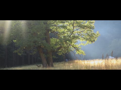 Vlg Rocki - Valentine's Day - February 2015 | CLIP OFFICIEL ATILA MOVIE