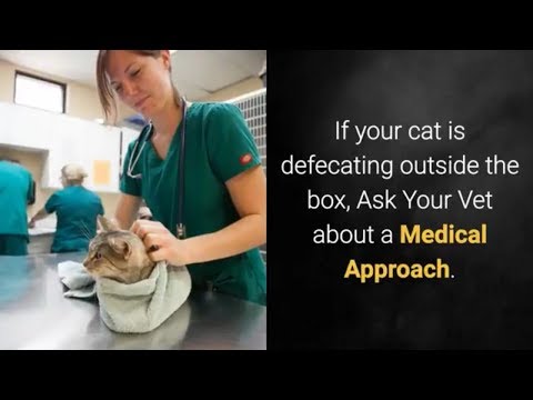 If your cat is defecating outside the box, Ask Your Vet about a Medical Approach.