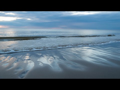 Calm Baltic Sea Waves | 8 Hours Black Screen for Deep Sleep and Relaxation