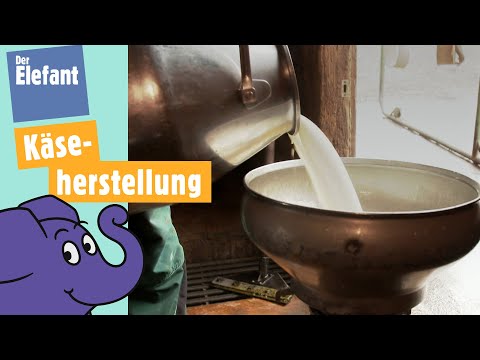 Teil 4 - Kuh Lena & ihre Herde - Aus Milch wird Käse | Der Elefant | WDR