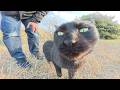 While Walking Along The Riverbank I Came Across Two Cute Black Cats