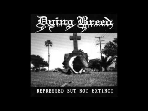 Contempt video thumbnail