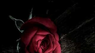 Slept So Long by Jay Gordon  Lyrics by [S&amp;R] Nicholas Deschanel