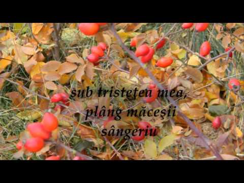 Copacii tremură tomnatec