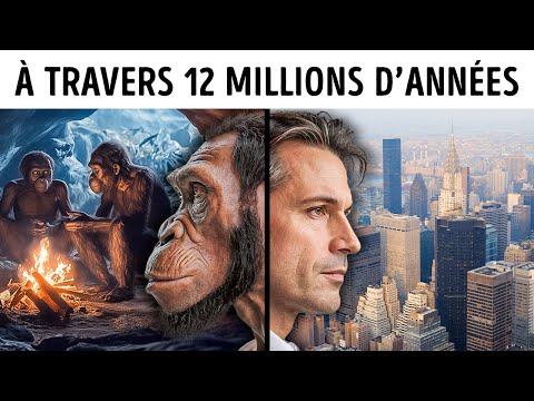 Un Voyage de 10 Minutes Montrant l’Évolution des Humains sur Terre