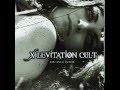 Absolute Last - X Levitation cult 