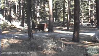 Fallen Leaf Campground Video