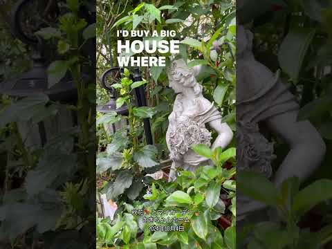 バラの茂みにあるヒルガオを自然に取り除く方法は？この 4 つの動作が彼の最大の敵です。  庭園