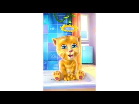 Ginger cat 🐱🐱🐱🐱 talking