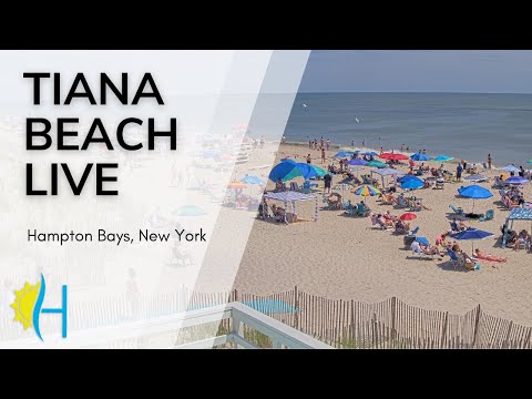 Hamptons.com - LIVE! Tiana Beach, Hampton Bays, New York