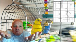 The Puzzle that Solves FOUR Different Ways! It's unbelievable ...